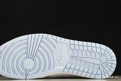 ICE Jordan Retro Low BLUE 1 1119